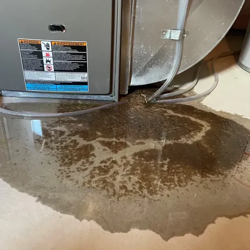 Appliance Leak Cleanup in Wauconda, IL